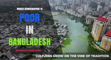 Understanding Bangladesh's Poverty: Which Demographic Struggles the Most?