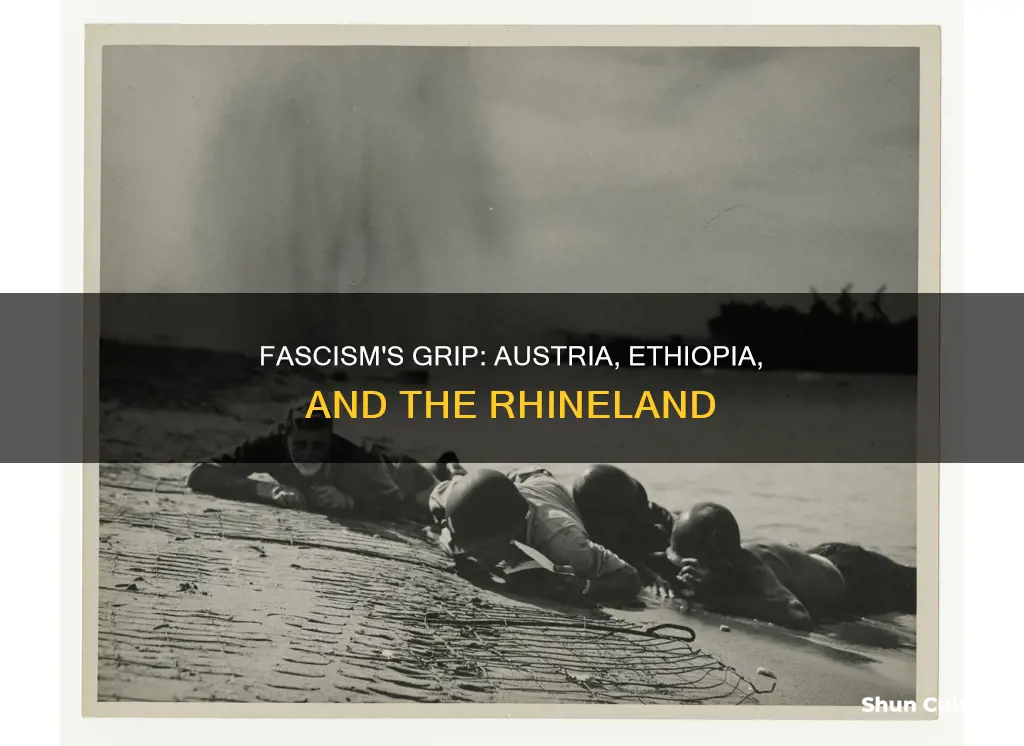 which did rhineland ethiopia and austria have in common