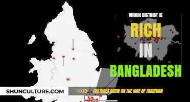 Exploring Bangladesh's Wealthiest District: A Comprehensive Economic Analysis