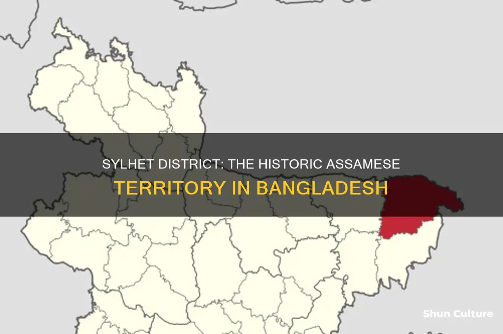 which district of bangladesh was part of assam