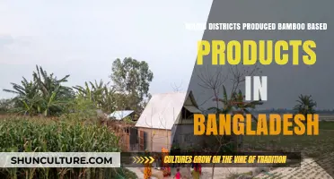 Bamboo Craft Hubs: Key Districts Producing Bamboo Products in Bangladesh