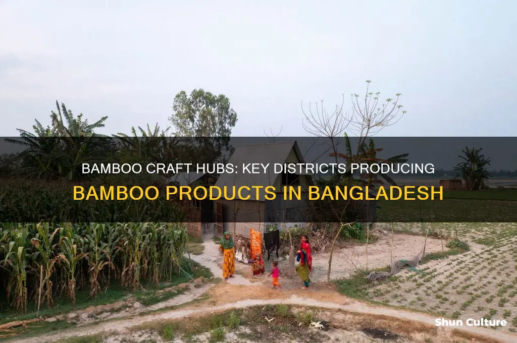 which districts produced bamboo based products in bangladesh