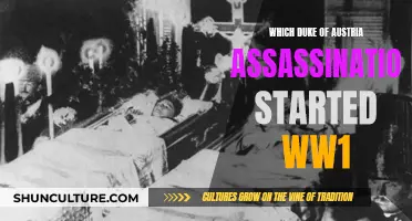 Austria's Archduke Assassination: The Spark of World War I