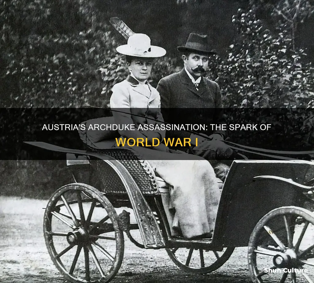 which duke of austria assassination started ww1