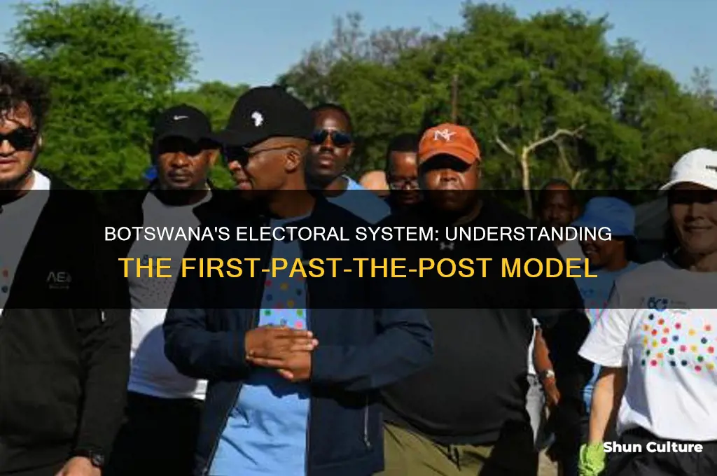 which electoral system is used in botswana