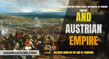 Ottoman or Austrian: Who Fell First?