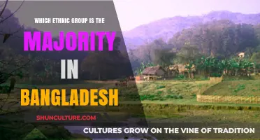 Bengalis: The Dominant Ethnic Group in Bangladesh's Diverse Population