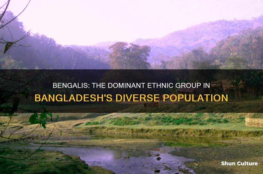 which ethnic group is the majority in bangladesh
