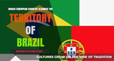 Portugal's Conquest: The European Claim on Brazil's Territory