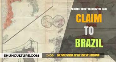Portugal's Conquest: The European Power Behind Brazil's Colonization