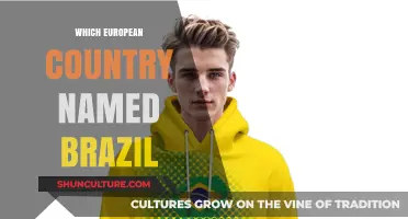 Brazil's Surprising European Connection: Uncovering the Country's Naming Origin