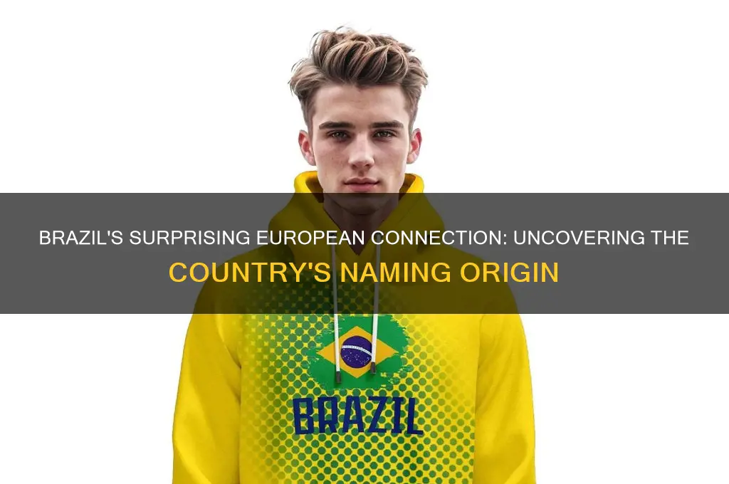 which european country named brazil
