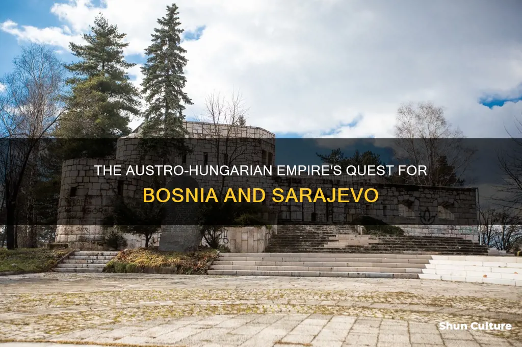 which european empire desired control over bosnia and sarajevo