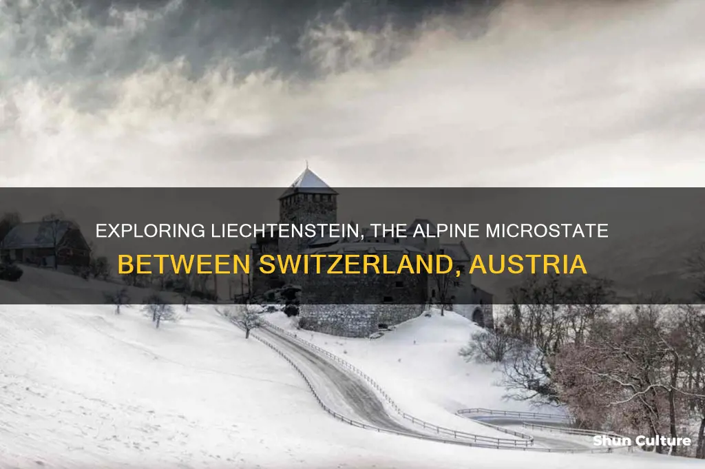 which european microstate lies between switzerland and austria