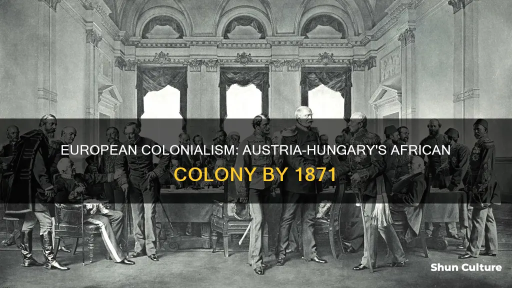 which european power controlled an african colony by 1871 austria-hungary