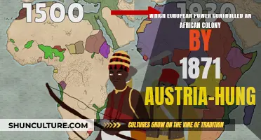 European Powers and African Colonies: Austria-Hungary's Ambitions