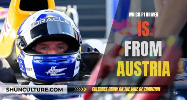 Austrian F1 Drivers: Who Are They?