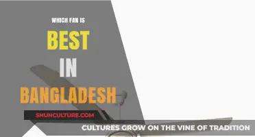 Best Fans in Bangladesh: Top Picks for Cooling Comfort