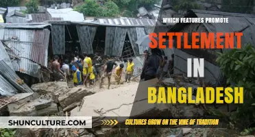 Key Factors Attracting Population Settlement in Bangladesh: A Comprehensive Analysis