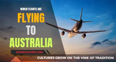 Flights to Australia: What Are My Options?