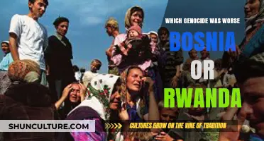 Comparing the Horrors: Bosnia vs. Rwanda Genocide Tragedies