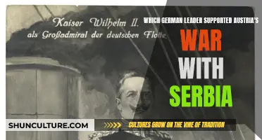 Who Backed Austria-Hungary's Invasion of Serbia?
