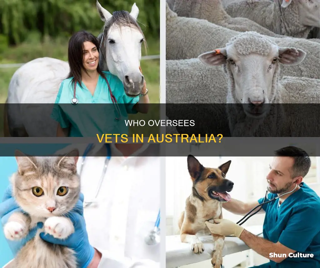 which government department is responsible for vet in australia
