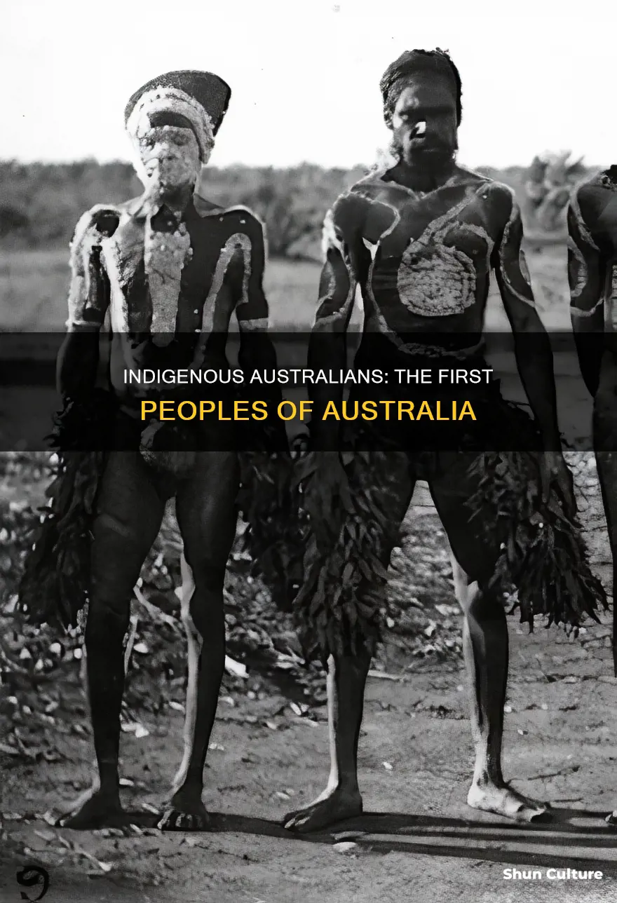 which group is the native population of australia brainly