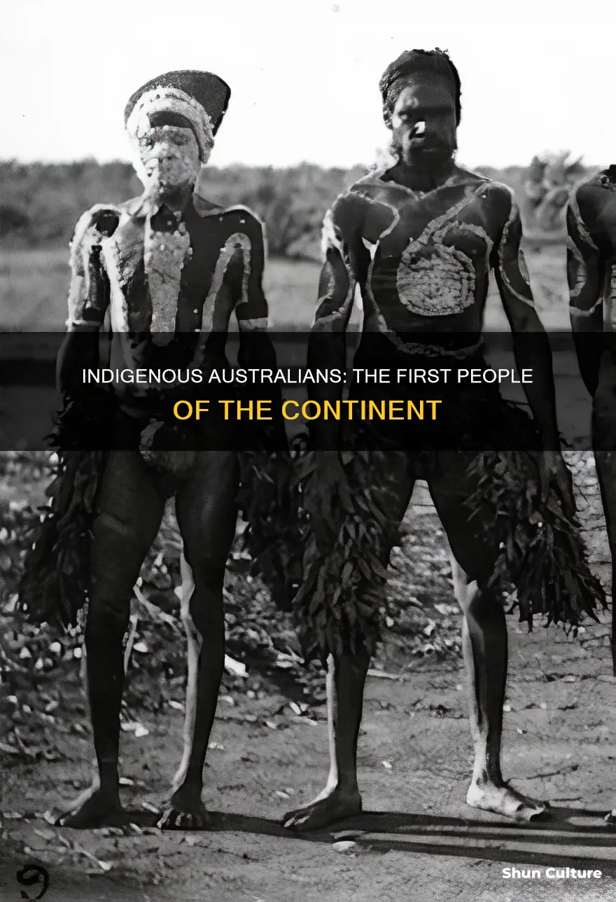 which group is the native population of australia openstudy