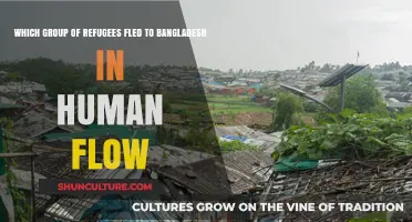 Rohingya Refugees: The Human Flow to Bangladesh's Shores