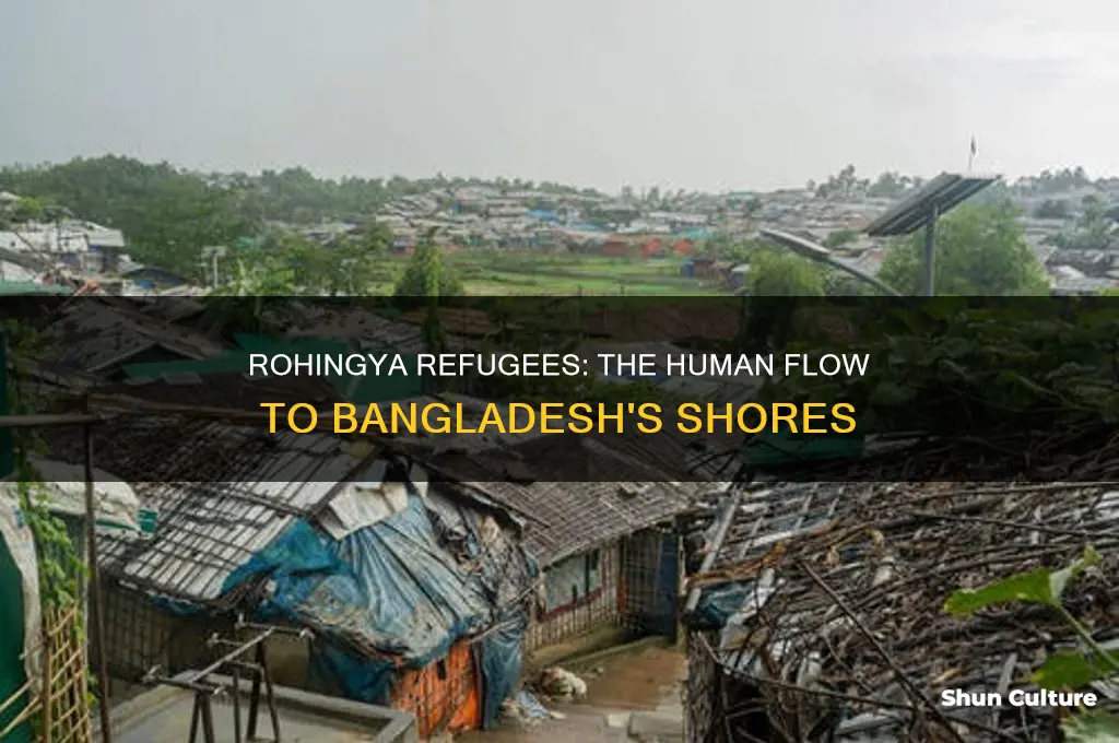 which group of refugees fled to bangladesh in human flow