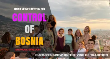 Bosnia's Power Struggle: Competing Factions Vie for Control and Influence