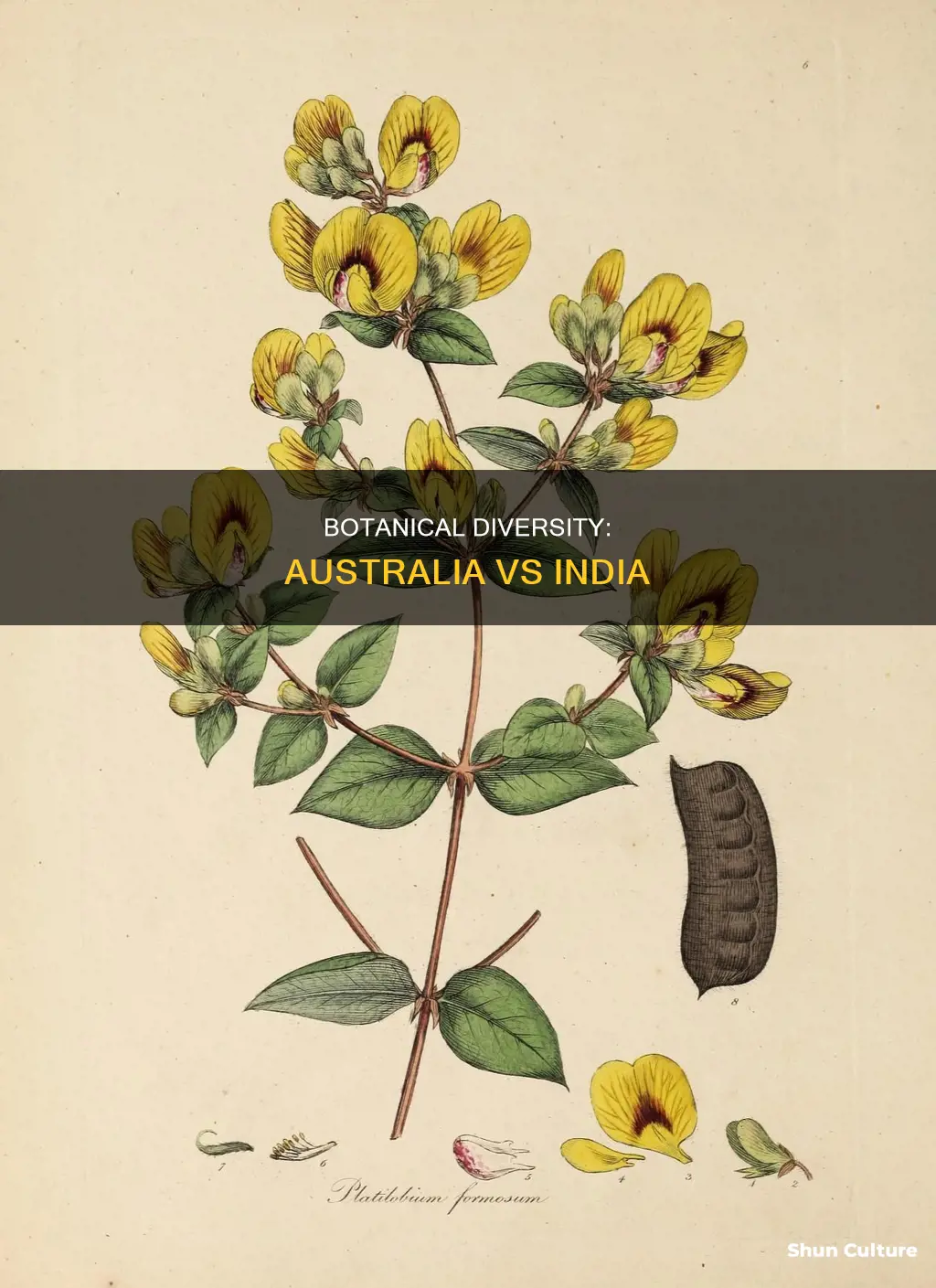 which has more botanical diversity australia or india