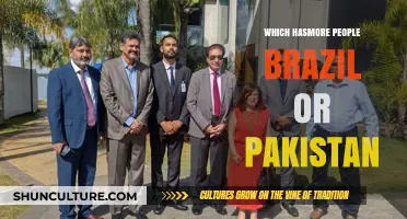 Brazil vs. Pakistan: Comparing Population Sizes and Demographics