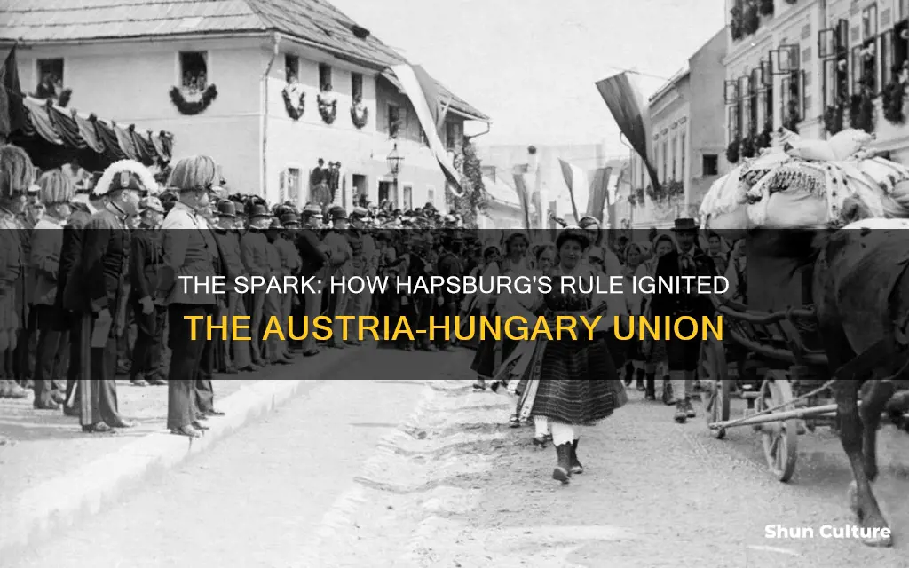 which haspurg fires the austria hungary union