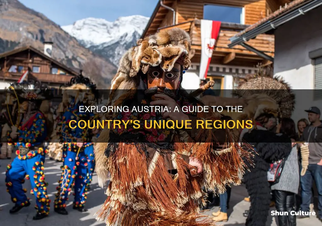 which heading best completes the partial outline below austria
