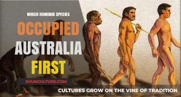 Unraveling Australia's First Hominid Settlers: A Prehistoric Mystery Explored