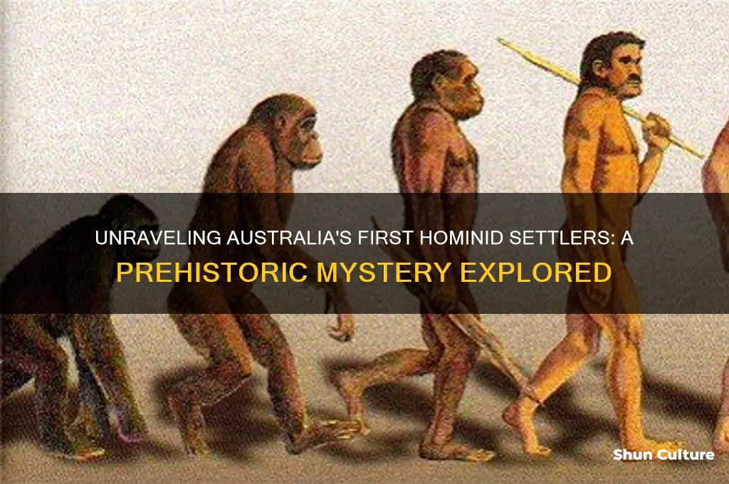 which hominid species occupied australia first