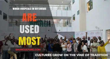 Botswana's Most Utilized Hospitals: A Comprehensive Overview and Analysis