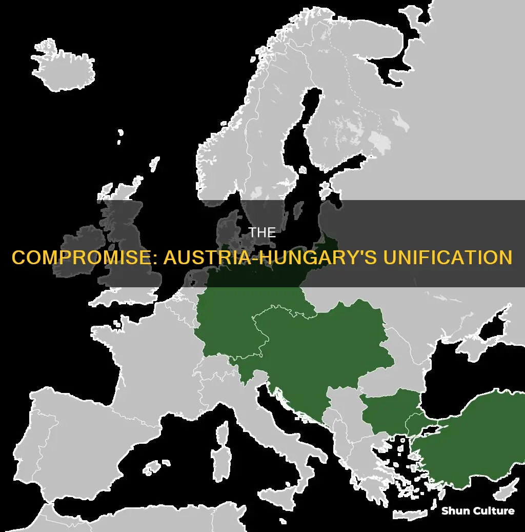 which idea resulted in austria hungary