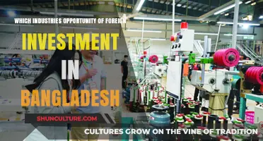 Exploring Foreign Investment Opportunities in Bangladesh's Key Industries