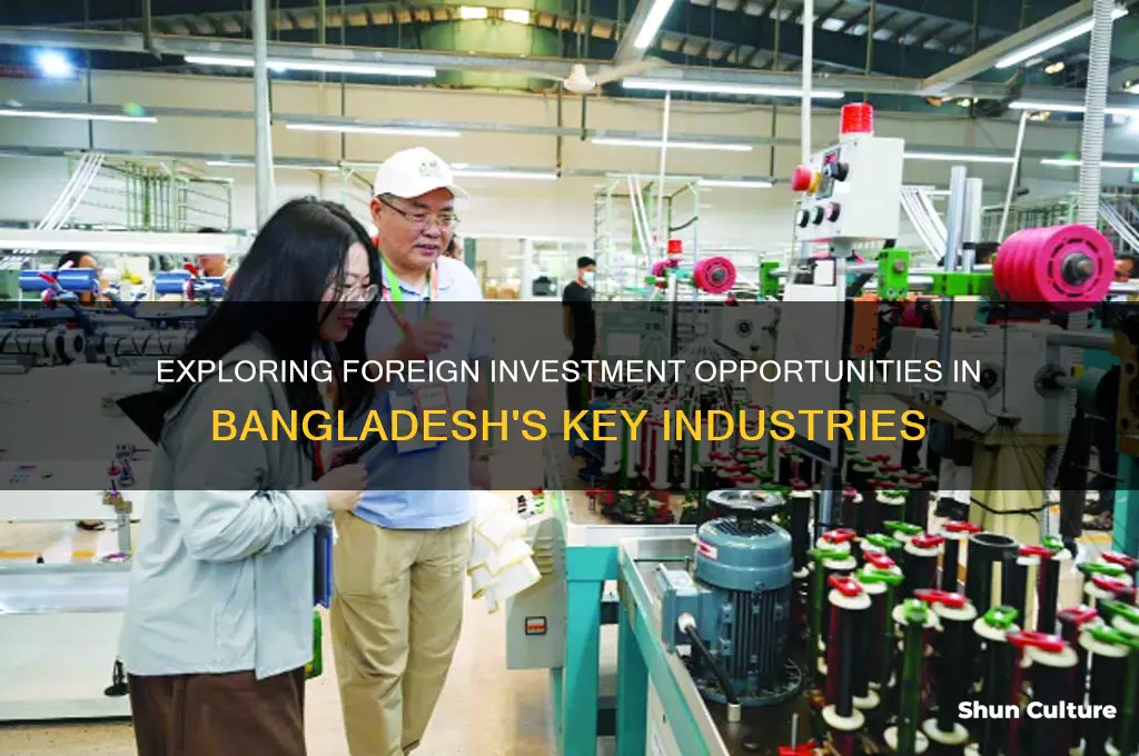 which industries opportunity of foreign investment in bangladesh