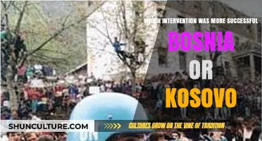 Comparing Success: Bosnia vs. Kosovo Intervention Outcomes and Lessons