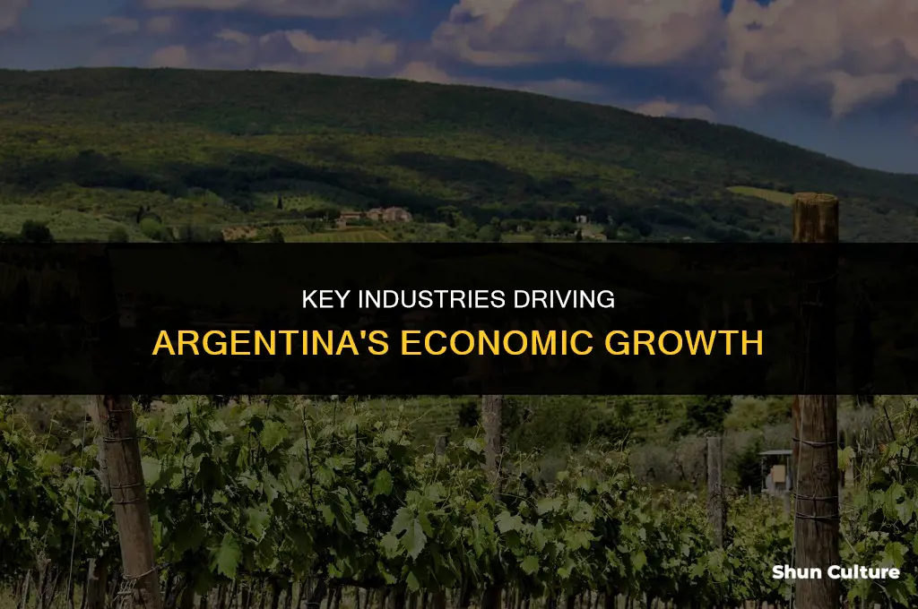 which is an important industry in argentina