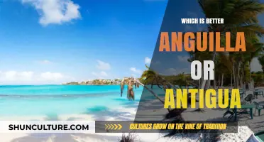 Anguilla vs. Antigua: Which Caribbean Paradise Suits You Best?