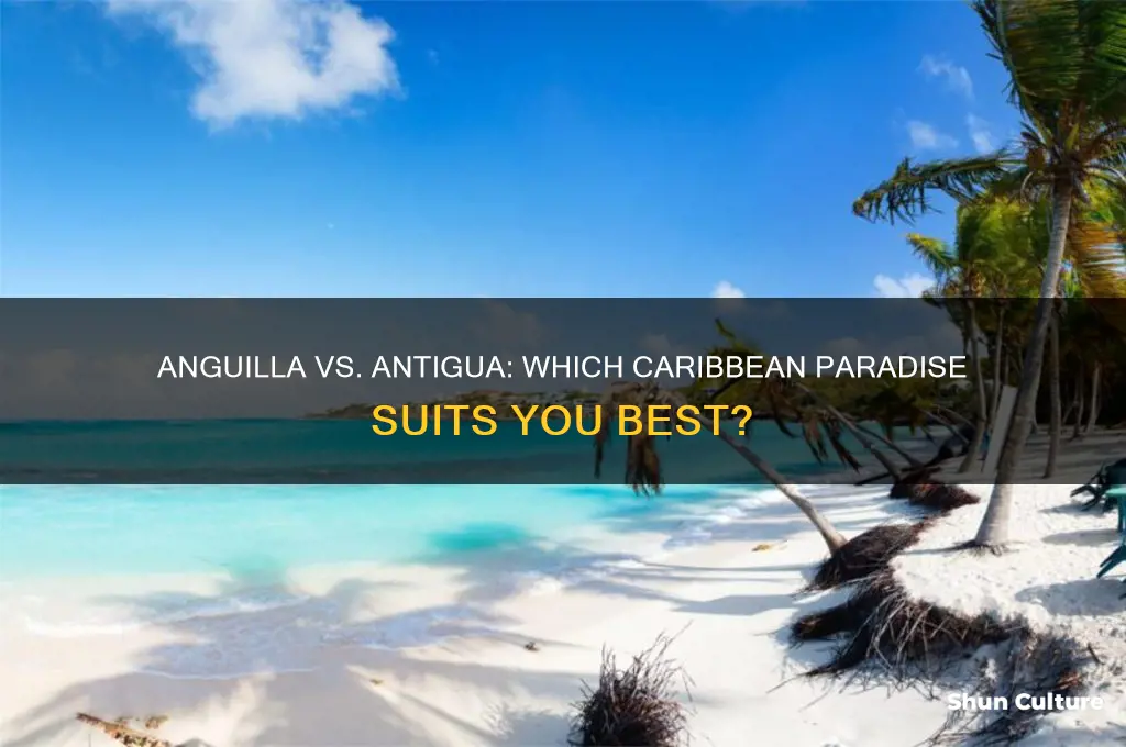 which is better anguilla or antigua