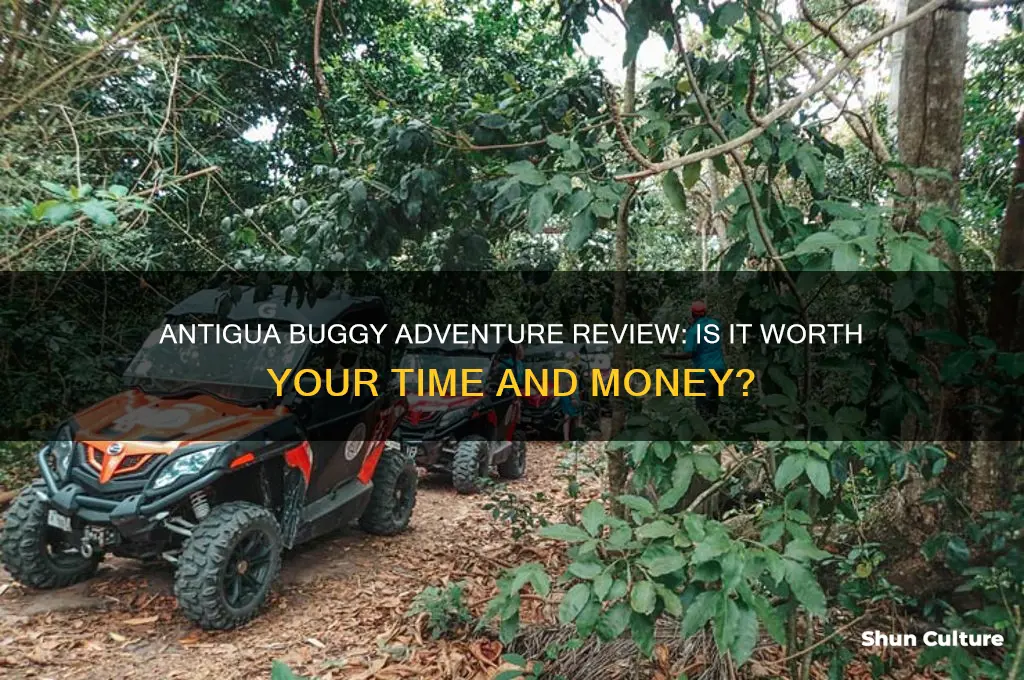 which is better antigua buggy adventure review