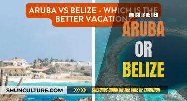 Aruba or Belize: Which Paradise is Best?