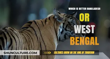 Bangladesh vs. West Bengal: Comparing Culture, Economy, and Lifestyle