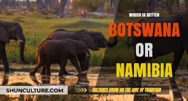 Botswana vs. Namibia: Which Southern African Safari Destination Reigns Supreme?